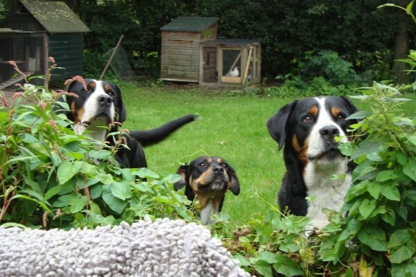 595_600x400.jpg 595_600x400.jpg