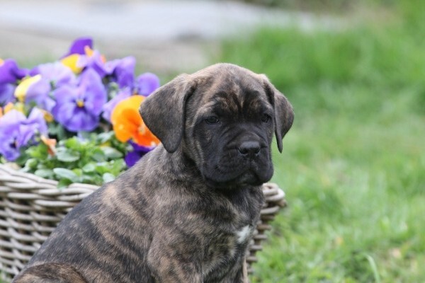 IMG_0105_600x400.jpg IMG_0105_600x400.jpg