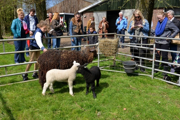 DSC_0984cld.jpg DSC_0984cld.jpg