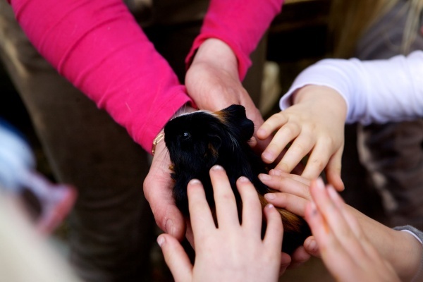 1932713_10202891113611795_731864956_o.jpg 1932713_10202891113611795_731864956_o.jpg