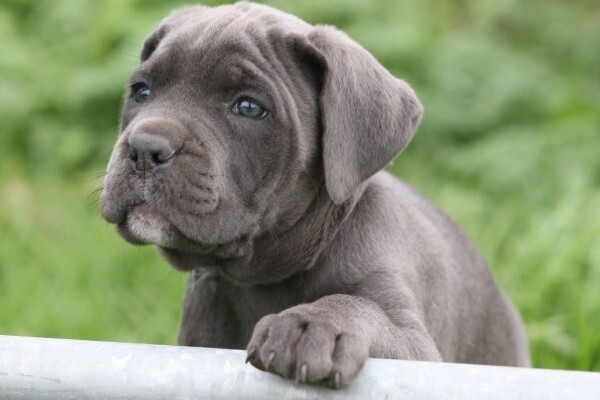 IMG_0045_600x400.jpg IMG_0045_600x400.jpg