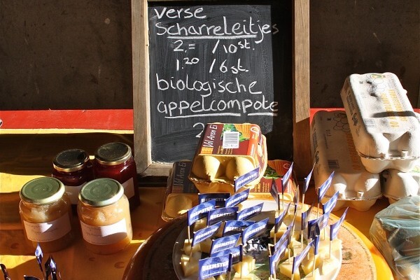 IMG_4490_600x400.jpg IMG_4490_600x400.jpg