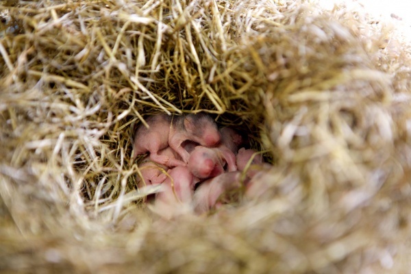 1911119_10202891103651546_780620414_o.jpg 1911119_10202891103651546_780620414_o.jpg