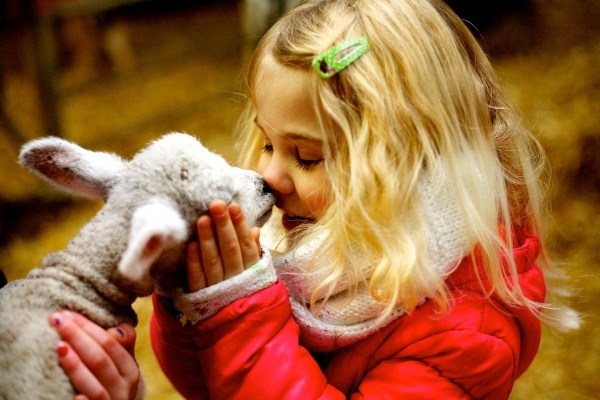 1524494_10205279102910035_8076026909722877662_o.jpg 1524494_10205279102910035_8076026909722877662_o.jpg